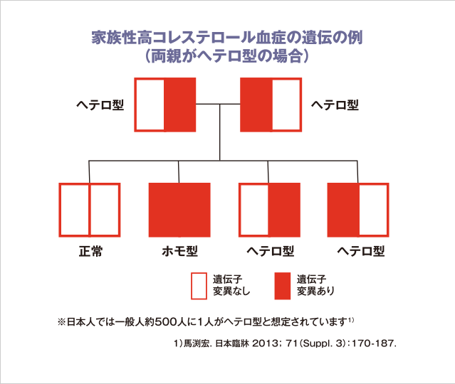 ヘテロ接合体