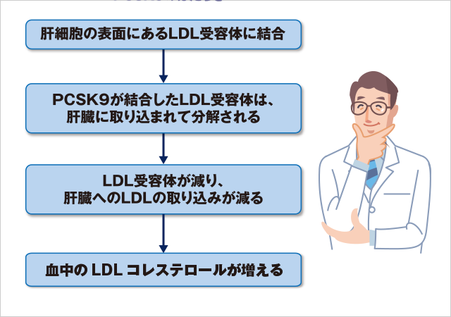 sanoma　RK5　標準合皮 変換アダプター | 商品のご案内 | SANEI｜デザイン性に優れた水